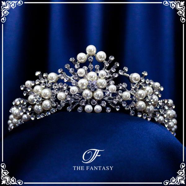 eBA  EGfBO I uC_ ݌Ɉ|Z[  ^gD[V[ Ώ ft8121plsr