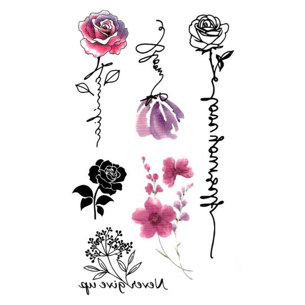 �^�g�D�[�V�[�� �K�N �� hm1355 ���M�����[