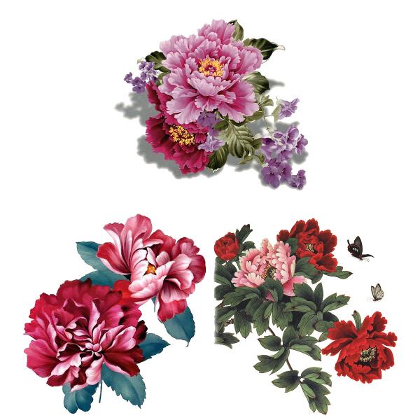 ^gD[V[ 33EA4 O  mq3018