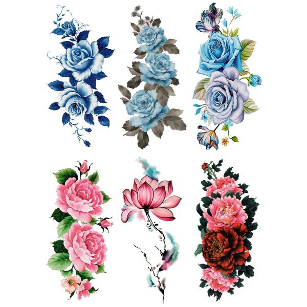 ^gD[V[ KN  @ ʏTCYE66 ymp6002