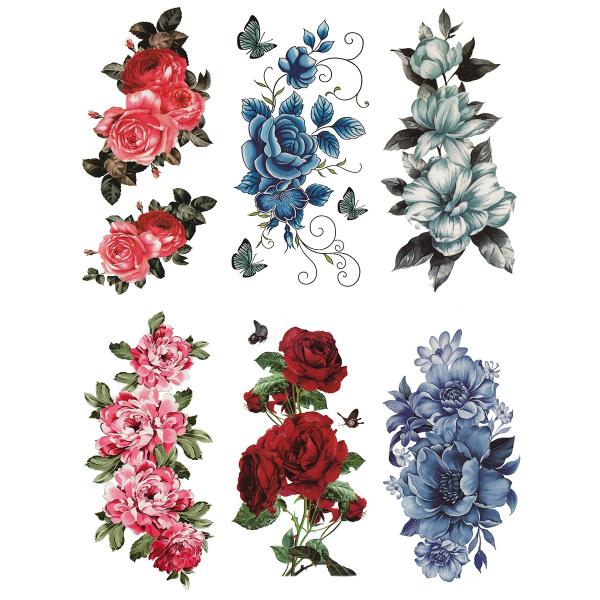 ^gD[V[ KN  o  66Zbg ymx6004