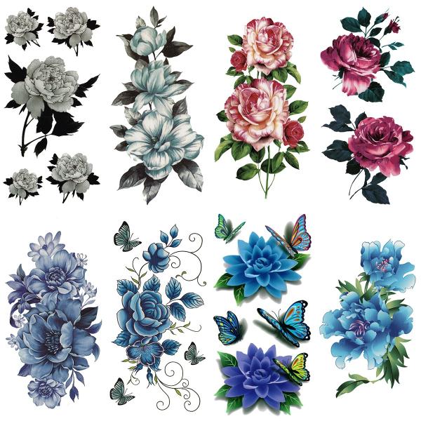 ^gD[V[ KN  o  88 ymx8021