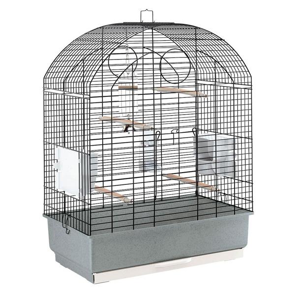   ^ p rI VIOLA  Q[W tZbg IJCRAZLZCCR C^AferplastА