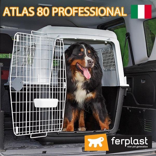  L[ AgX 80 vtFbVi atlas 80 L[ ybgp C^AferplastА