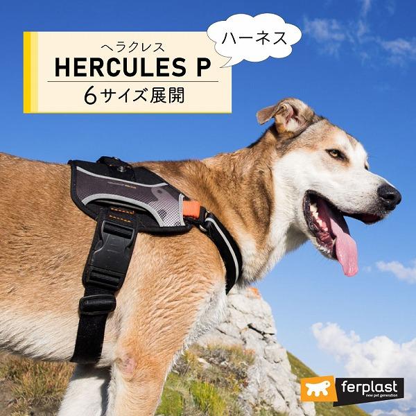 犬 ハーネス HERCULES P XS 適応体重12kgまで イタリアferplast社製 