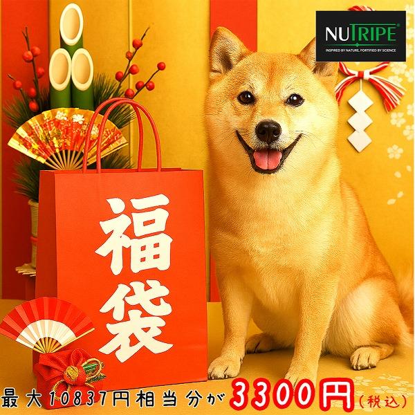 お得な福袋セット♪中身が分かる福袋です！中身の詳細は画像をご確認ください。かなりお得な内容になっておりますので、お一人様1個までとなります。※こちらの商品は返品不可です。