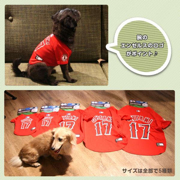 Los Angeles Angels ロサンゼルス エンジゼルス 大谷翔平選手モデル ユニフォーム 野球 ジャージ Xsサイズ 小型犬 ポスト投函可 Buyee Buyee Japanese Proxy Service Buy From Japan Bot Online