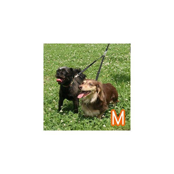 񓪕C[h 񓪈[h  [h @ɕ֗IQACe@t@^W[ cC[h@l@y|Xgz