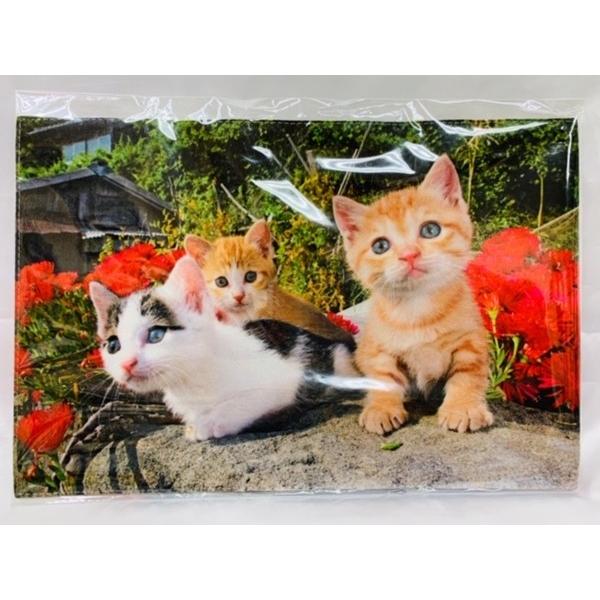 岩合光昭 オリジナルグッズ ブックカバー 文庫本サイズ こねこ赤 新品 Kaori Selection Yショップ店 通販 Yahoo ショッピング