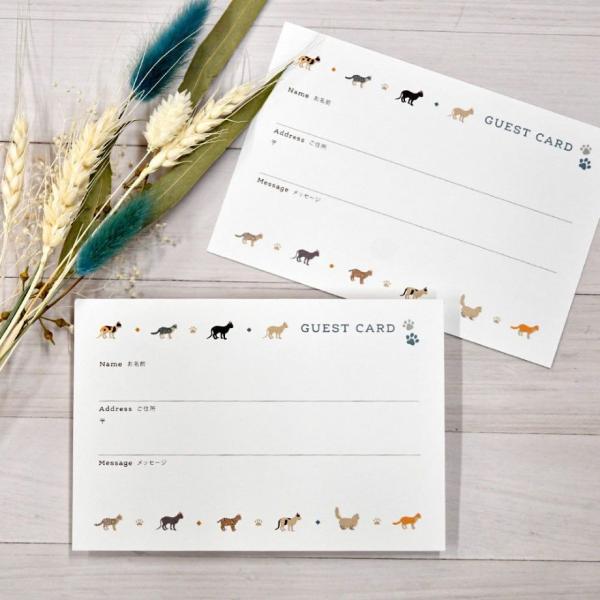 QXgubN F  F^ t uC_ EFfBO W W 񎟉^QXgJ[h FJ[huLbgtoLbgi20jv