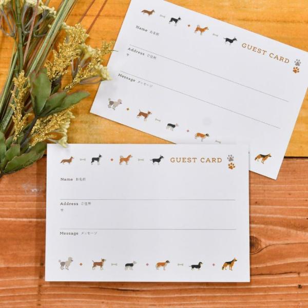  QXgJ[h FJ[huhbOtohbOi20jv / t F QXgubN