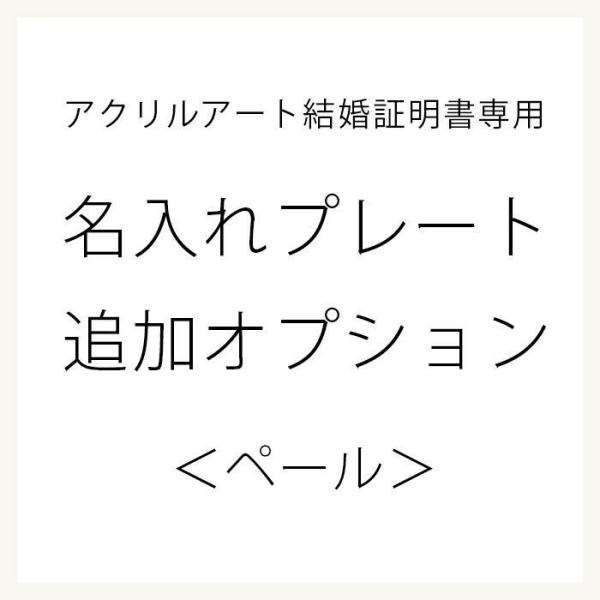 ANA[gؖpIvV v[gǉ uy[vi1j