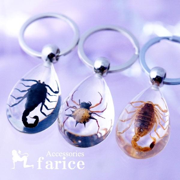 イモムシガチャ　昆虫アクリルキーホルダー リアル 昆虫 グッズ カブトムシ アクリルキーホルダー アクキー