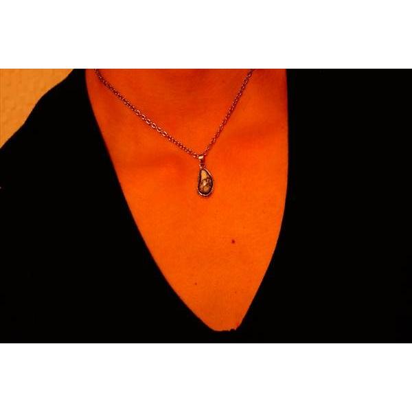 ベアパウ 熊の手 足跡 プレート 勾玉風カットデザイン インディアンジュエリー シルバー925 ペンダント ネックレス オニキスorハウライト Buyee Buyee 日本の通販商品 オークションの代理入札 代理購入