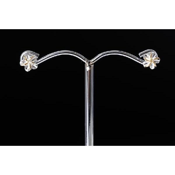 CG[S[hCvA() VOnCAWG[sAX