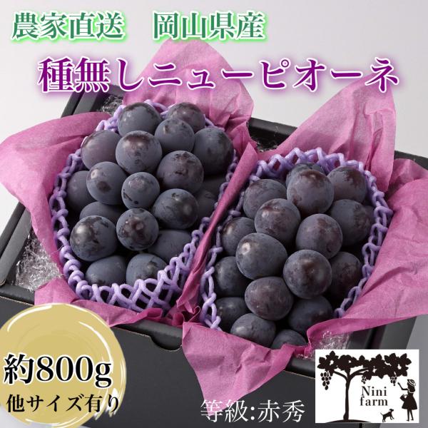 【農家直送】厳選品 こだわりのニューピオーネ 秀品 岡山県産 2房詰め お中元 贈り物 ギフト 葡萄 ぶどう フルーツ