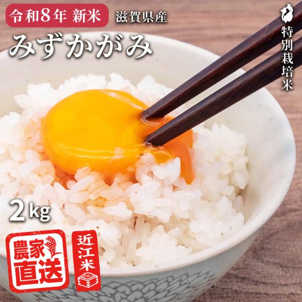予約販売｜2026年産新米｜9月中旬収穫予定】 みずかがみ 白米 2kg 2026