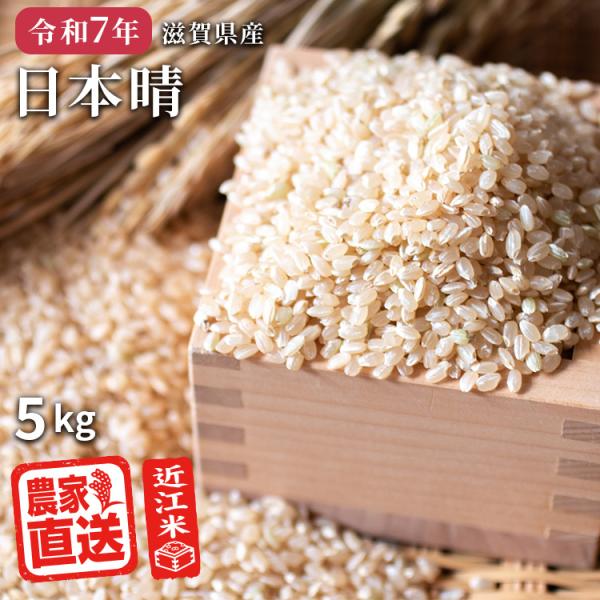 コシヒカリが普及するまで、日本で最も多く栽培されていた品種です。昔懐かしい味と食感が人気のお米です。産地・・・滋賀県産品種・・・日本晴内容量・・・5kg生産年・・・令和7年産状態・・・玄米保存方法・・・・冷暗所の涼しい所で保管してください。...