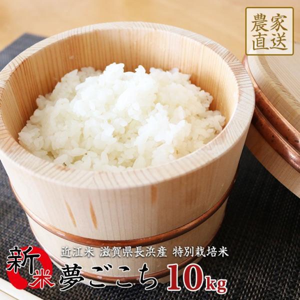 夢ごこち 米 10kg 白米 玄米 送料無料 令和元年新米 滋賀県産 特別栽培米 近江米 Buyee Servicio De Proxy Japones Buyee Compra En Japon
