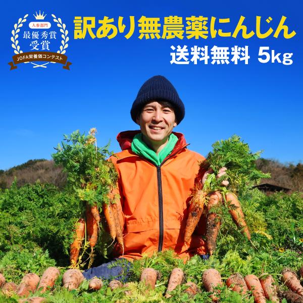 オーガニック 人参 にんじん 訳あり 無農薬にんじん 無農薬人参