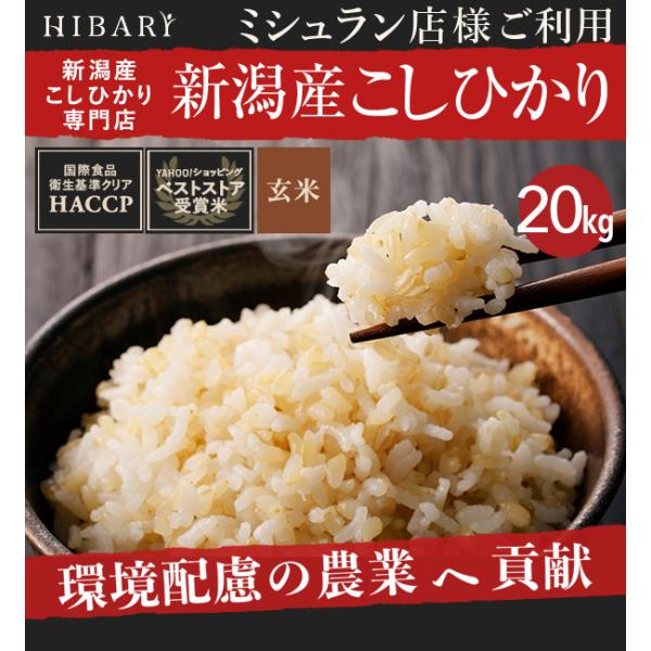 令和4年産 新米 新潟県産コシヒカリ 白米 5kg ミシュラン店様御用達 3年連続ベストストア賞受賞 環境に配慮したプレミアム米 新潟産HIBARI