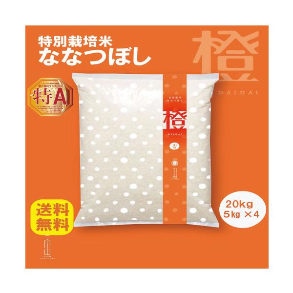 ななつぼし 20kg 特別栽培米 令和7年産 北海道産 農家直送 農家直売