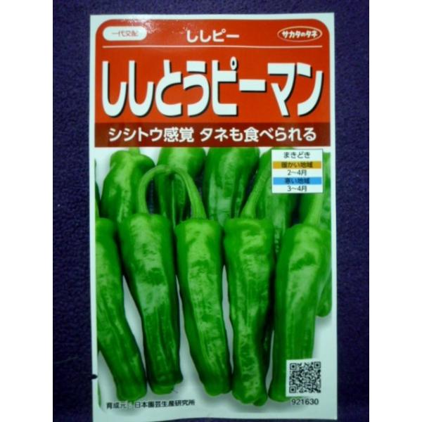 種子 ししとうピーマン ししピー ｖ サカタのタネ 19 10 ゆうパケット便可能 Buyee Buyee Japanese Proxy Service Buy From Japan Bot Online