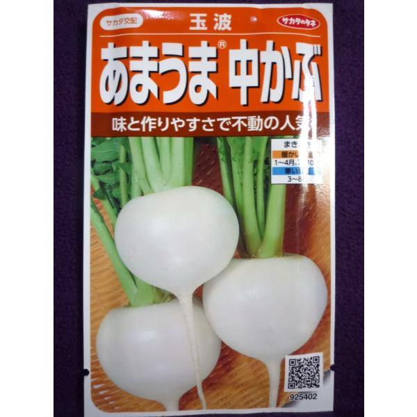 ☆種子☆ あまうま(R)中かぶ 玉波 V サカタのタネ 23.10 ◎味と作りやすさでカブの代表種♪ (ゆうパケット便可能) :1134018b:ガーデンショップ ミカワ 通販 ★種子★ あまうま(R)中かぶ 玉波 V サカタのタネ 23.10 ◎味と作りやすさでカブの代表種♪ (ゆうパケット便可能)