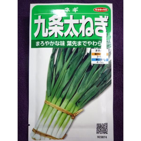 種子 処分 九条太ねぎ ネギ ｖ サカタのタネ 21 10 香りと味わいの九条太ネギ ゆうパケット便可能 ガーデンショップ ミカワ 通販 Yahoo ショッピング
