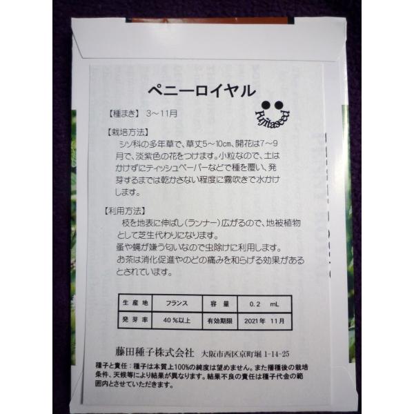 種子 ペニー ロイヤル ミント 藤田種子 21 11 ゆうパケット便可能 Buyee 日本代购平台 产品购物网站大全 Buyee一站式代购 Bot Online
