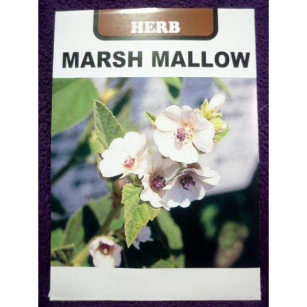種子 マーシュマロウ うすべにたちあおい 藤田種子 22 11 ゆうパケット便可能 ガーデンショップ ミカワ 通販 Yahoo ショッピング