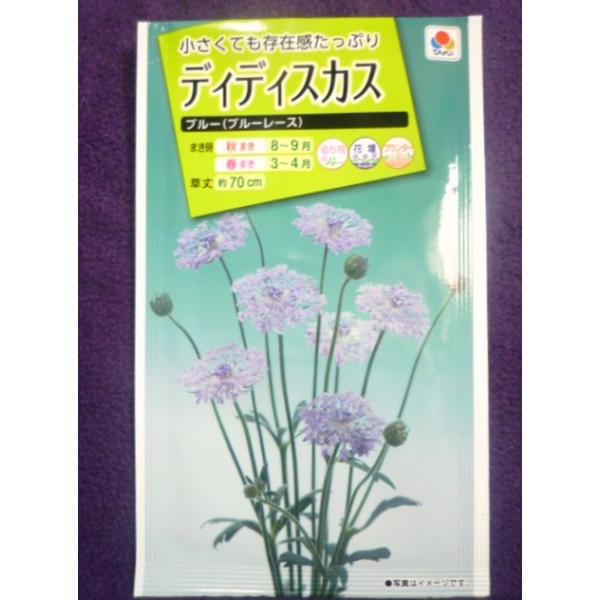 種子 処分 ディディスカス ブルー ブルーレース タキイ種苗 21 04 ゆうパケット便可能 a ガーデンショップ ミカワ 通販 Yahoo ショッピング