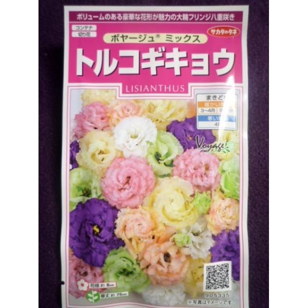 種子 トルコギキョウ ボヤージュ R ミックス サカタのタネ 21 10 大輪フリンジ八重咲き ゆうパケット便可能 a ガーデンショップ ミカワ 通販 Yahoo ショッピング