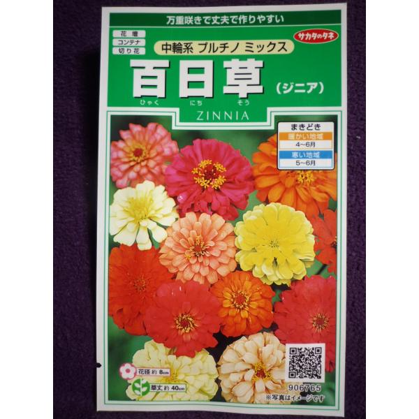 ジニア 種の人気商品 通販 価格比較 価格 Com