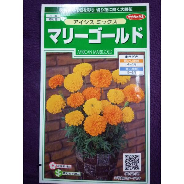種子 マリーゴールド アイシス ミックス サカタのタネ 21 10 花径約8cmのアフリカン系大輪品種です ゆうパケット便可能 ガーデンショップ ミカワ 通販 Yahoo ショッピング