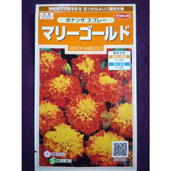 種子 マリーゴールド ボナンザ スプレー サカタのタネ 19 10 ゆうパケット便可能 Buyee Buyee Japanese Proxy Service Buy From Japan Bot Online