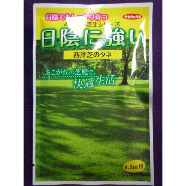 種子 日陰に強い みどりの芝生シリーズ 西洋芝のタネ サカタのタネ 22 05 耐虫性も強い ゆうパケット便可能 a ガーデンショップ ミカワ 通販 Yahoo ショッピング