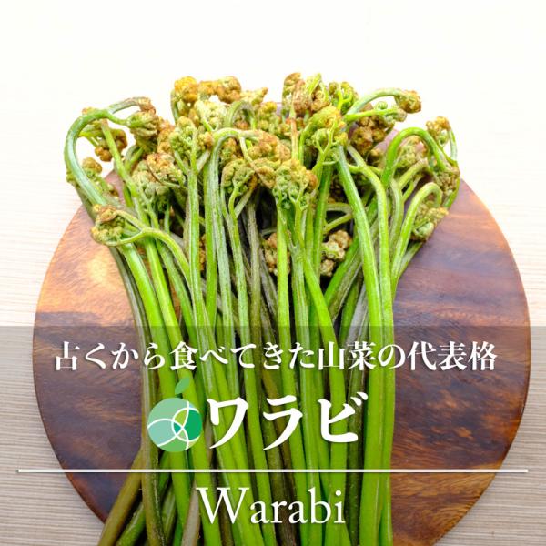 ワラビは、シダ植物の1種で新芽と若い茎を食用にします。柔らかな歯ごたえと独特の風味、またのど越しもよいため古くから親しまれている山菜です。特に天然物は、ハウス栽培物と比べて風味や香りが強く歯ごたえもよいので、その魅力を存分に味わうことができ...