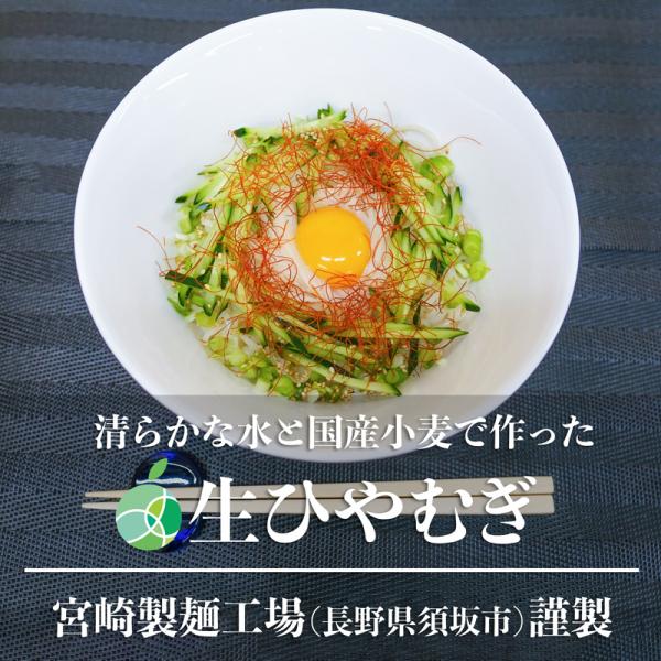 生ひやむぎ 5袋セット(1袋約250g) 創業90年 信州の老舗製麺所仕込み ｜ なま 冷麦 宮崎製麺 国産小麦 × 清らかな湧き水仕立て