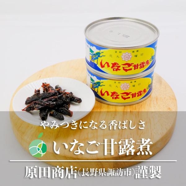 花九曜印　いなご甘露煮　3個セット　内容量1缶約45g　信州　長野県　諏訪市　原田商店　郷土食　伝統食　昆虫食　佃煮　ギフト　プレゼント　おつまみ