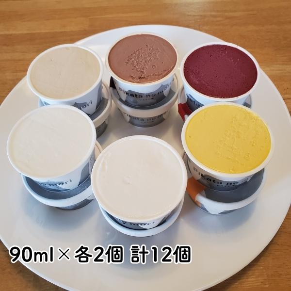 北海道 駒ケ岳牛乳のアイスセット 駒ヶ岳みるく プレミアムヨーグルト チョコレート アールグレイ みよい農園のかぼちゃ 北海道ベリー(氷菓) 90ml×各2個 計12個
