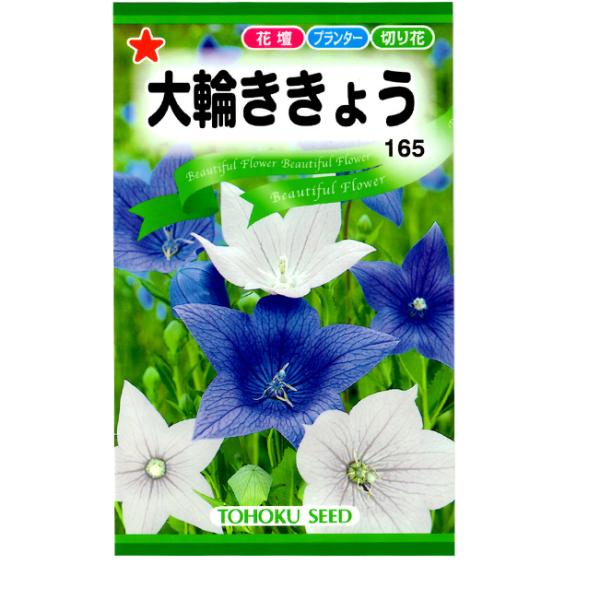 g[zN@Ԃ̎/q@ւ傤@e0.4ml@ iǐՉ\[֔@Sꗥ370~j00600