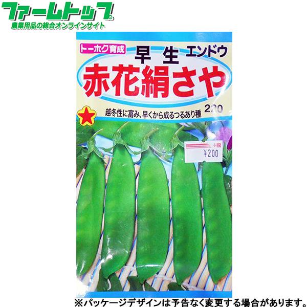 トーホク 野菜の種/種子 エンドウ 早生赤花絹さや 内容量30ml 種