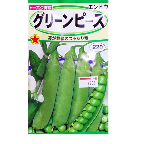 g[zN@؂̎/q@GhE@O[s[X@e30ml@ iǐՉ\[֔@Sꗥ370~j06256