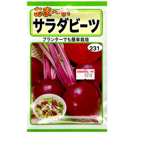 g[zN@؂̎/q@r[c@܁[T_r[c@e10ml@ iǐՉ\[֔@Sꗥ370~j01110