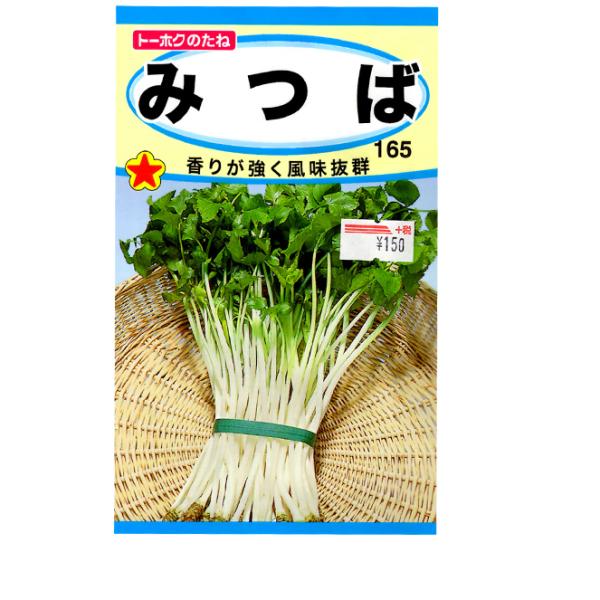 g[zN@؂̎/q@݂΁@Ot@e4ml@ iǐՉ\[֔@Sꗥ370~j01349