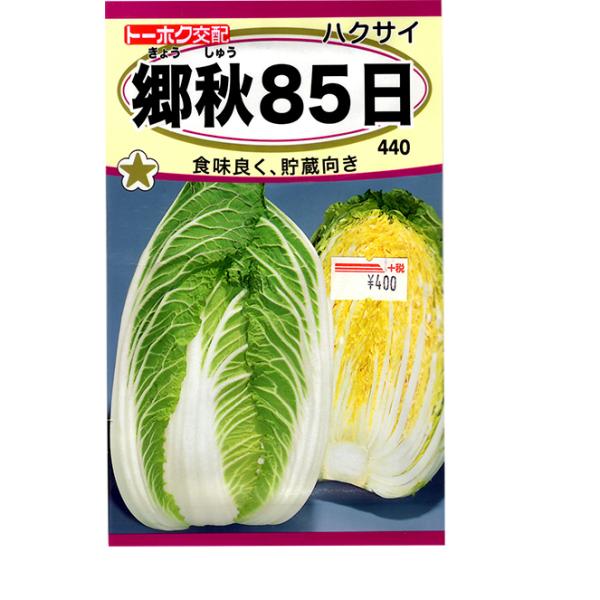 g[zN@؂̎/q@؁@nNTC@D85@e3ml@ iǐՉ\[֔@Sꗥ370~j07567