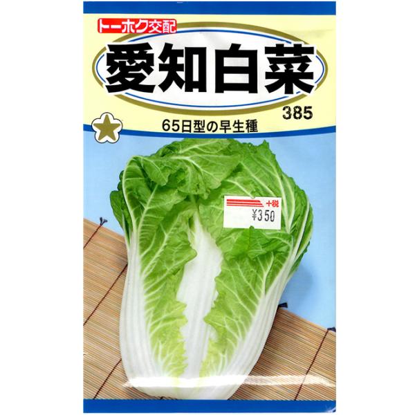 g[zN@؂̎/q@؁@nNTC@m؁@e3ml@ iǐՉ\[֔@Sꗥ370~j08180