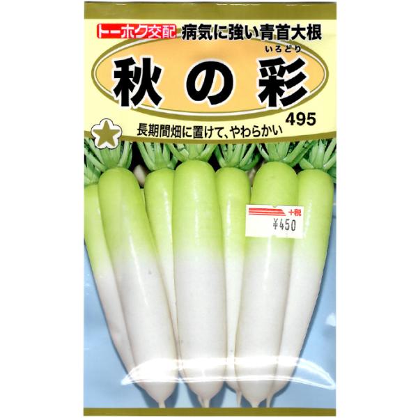 g[zN@؂̎/q@@卪@H̍ʁ@e11ml@iǐՉ\[֔@Sꗥ370~j05823