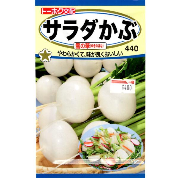 g[zN@؂̎/q@ԁ@T_ԁ@̉؁@e3ml@iǐՉ\[֔@Sꗥ370~j04621